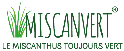 miscanvert.fr